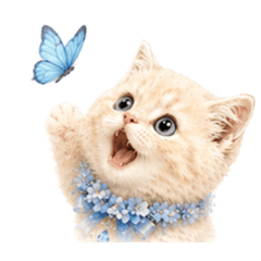 Kittens Fun Everyday Stickers