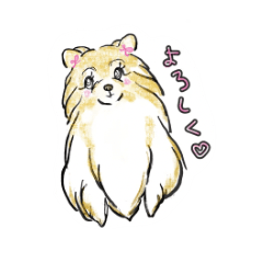 Everyday dog - Fluffy Pomeranian