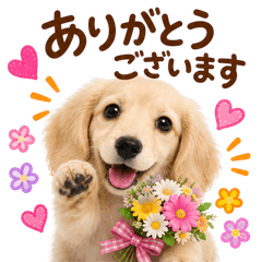 20260719dog3