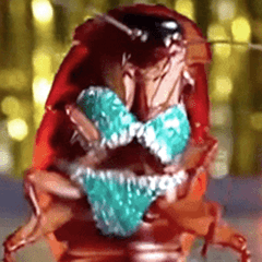 MY COCKROACH 7