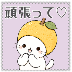 Yuzu Cat: Celebration & Cheer
