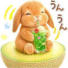 Lop-eared rabbits can be used (summer)