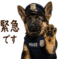 202607209dog2