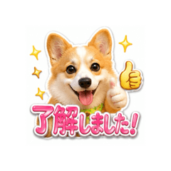 kazumi_20260720033434