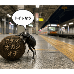 kose_20260720101412