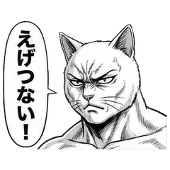 Muscle Nyantan: Kansai Daily