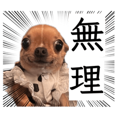 saki_20260720113122