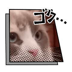 rubineko_20260720113718