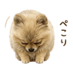 saya_20260720121002