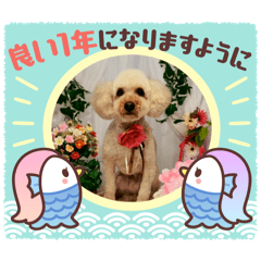marron_20260720181453