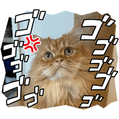 kyao_20260720171322
