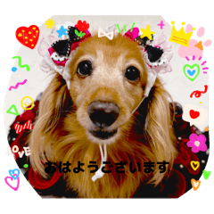 yuka_20260720222602