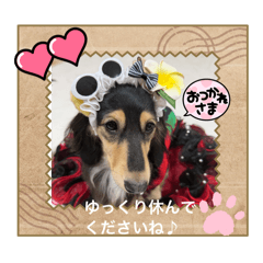 yuka_20260720230722