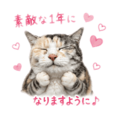 holy_20260720231358