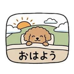 momo_20260720140015