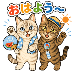 Funny Summer Cats