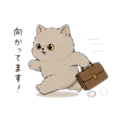 MOFU BIYORI_20260720190140