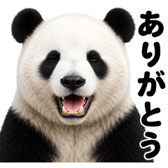 あつまれ！アニマルスタンプ！