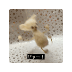 6ka_20260720214137