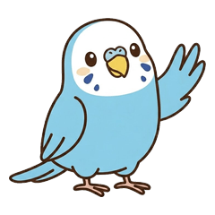 Blue Budgie's Everyday English
