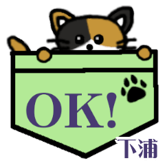 Shimoura's Pocket Cat's