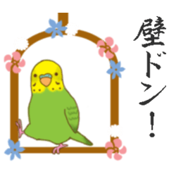 セキセイインコ劇場