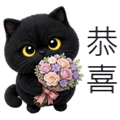 Noxie Black Cat Days (TWN)