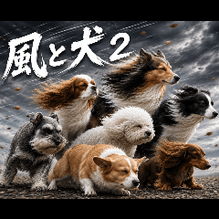 風と犬2★強風に挑むわんこ★高テンション