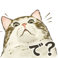 Bossy Tabby Cat Talks Down to You