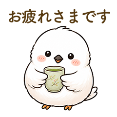 MochiShima Vol.2: Polite & Chic