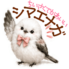 Small and cute! Fluffy Long-tailed Tit