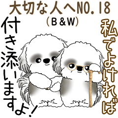 飛び出すB&Wシーズー犬 「親・大切な人へ」