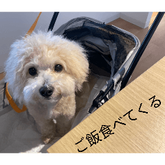 aiueo_20260527120443