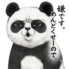 The Provocative Panda's True Feelings