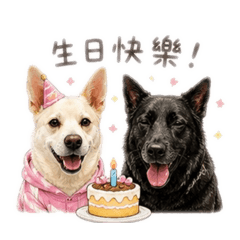 阿Q與阿洛
