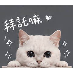 嘟比の