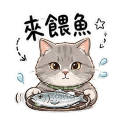虎斑Q貓釣魚語錄