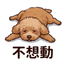 北鼻ll