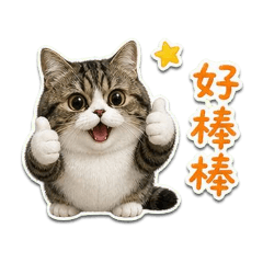 Brat Cat - Yuanbao