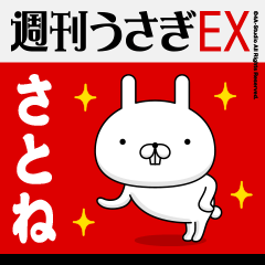 "Satone" Name Feature - Showa