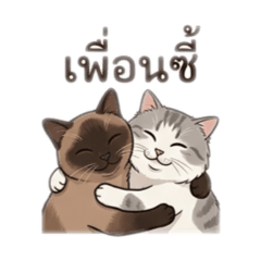 แมวน้อยคู่ซี้ Lucky Money