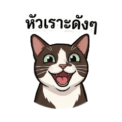 น้องแมว ทักแชท