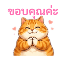 แมวอ้วน แมวอ้วน