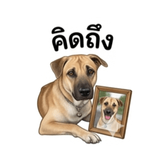 น้องโคล่าของหม่ามี๊ v.1