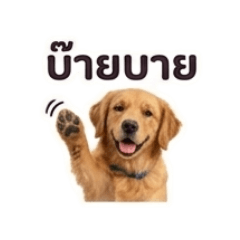 MOMO_20260512174645