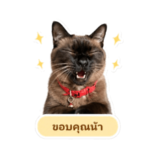 ไข่มุกน่ารักกกก