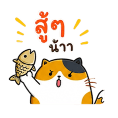 แมวส้มสามสีตัวป่วน