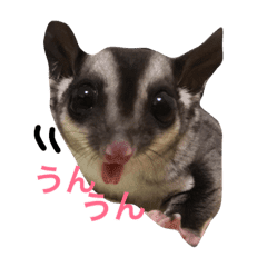 モモンガのミルクちゃん Line スタンプ Line Store モモンガのミルクちゃん Line スタンプ Line Store