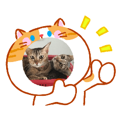 แก๊งเหมียวจอมป่วนบ้านฉัน3