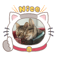 แก๊งเหมียวจอมป่วนบ้านฉัน4